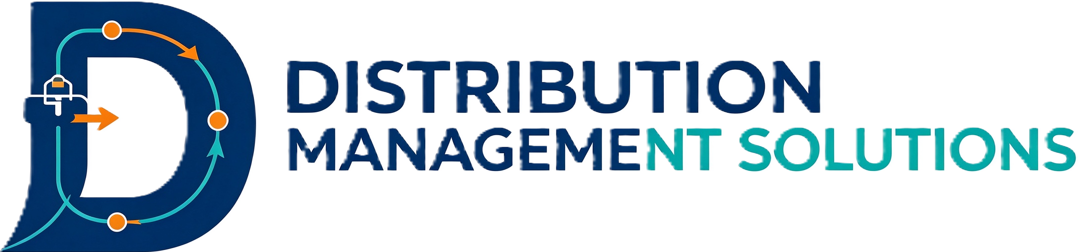 DISTRIBUTION MANAGEMENT SOLUTIONS LIMITED